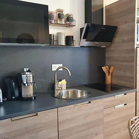 -garrigue- Face A La Cite Medievale Terrasse Classe 4☆ Apartment