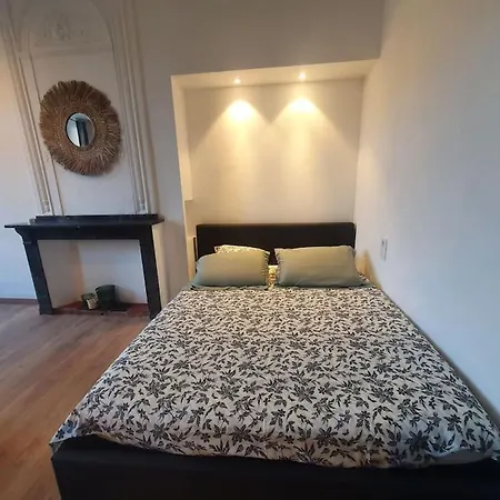 Apartment -garrigue- Face A La Cite Medievale Terrasse Classe 4☆