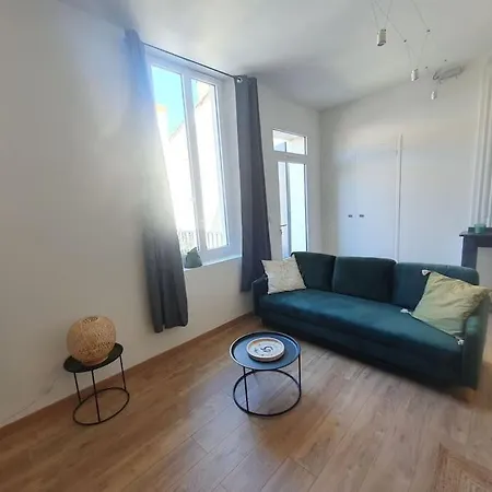 -garrigue- Face A La Cite Medievale Terrasse Classe 4☆ * Carcassonne