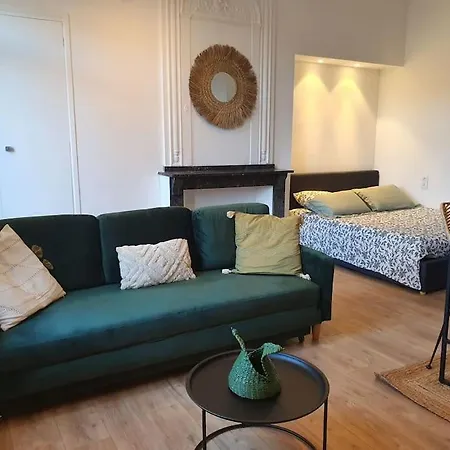 -garrigue- Face A La Cite Medievale Terrasse Classe 4☆ Apartment