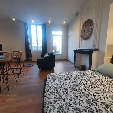 -garrigue- Face A La Cite Medievale Terrasse Classe 4☆ Daire Carcassonne