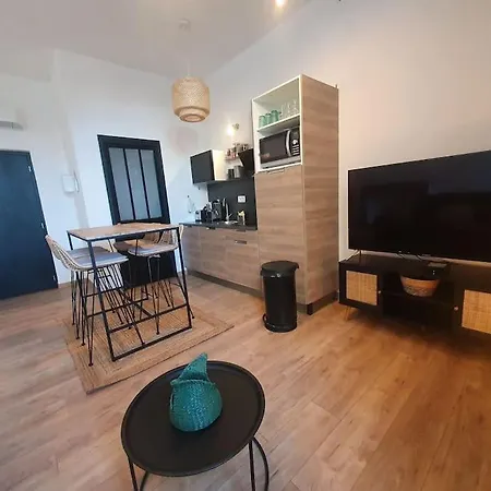 -garrigue- Face A La Cite Medievale Terrasse Classe 4☆ * Carcassonne