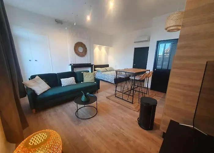 -garrigue- Face A La Cite Medievale Terrasse Classe 4☆ * Carcassonne