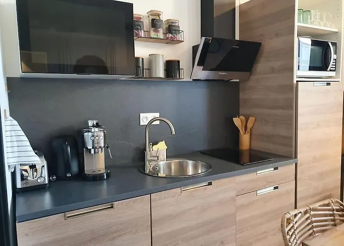 -garrigue- Face A La Cite Medievale Terrasse Classe 4☆ Apartment