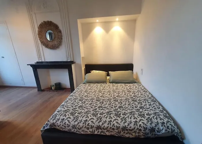 Apartment -garrigue- Face A La Cite Medievale Terrasse Classe 4☆