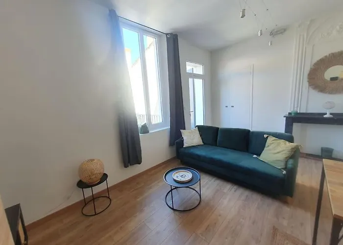 -garrigue- Face A La Cite Medievale Terrasse Classe 4☆ * Carcassonne