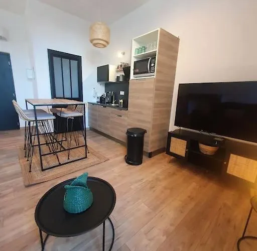 Apartment -garrigue- Face A La Cite Medievale Terrasse Classe 4☆ Carcassonne