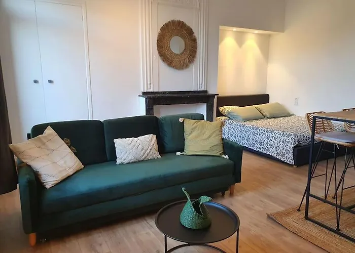 -garrigue- Face A La Cite Medievale Terrasse Classe 4☆ Apartment