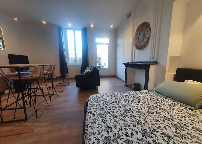 -garrigue- Face A La Cite Medievale Terrasse Classe 4☆ Apartment Carcassonne