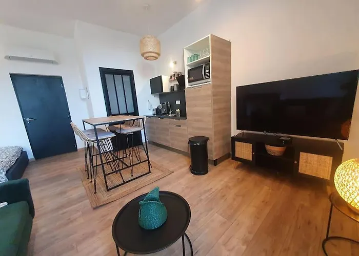 -garrigue- Face A La Cite Medievale Terrasse Classe 4☆ * Carcassonne